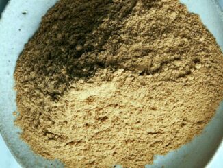 Bolete powder in a plate