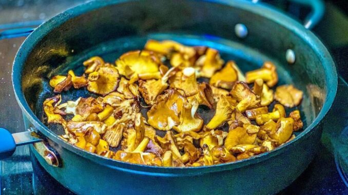 Cooking chanterelles