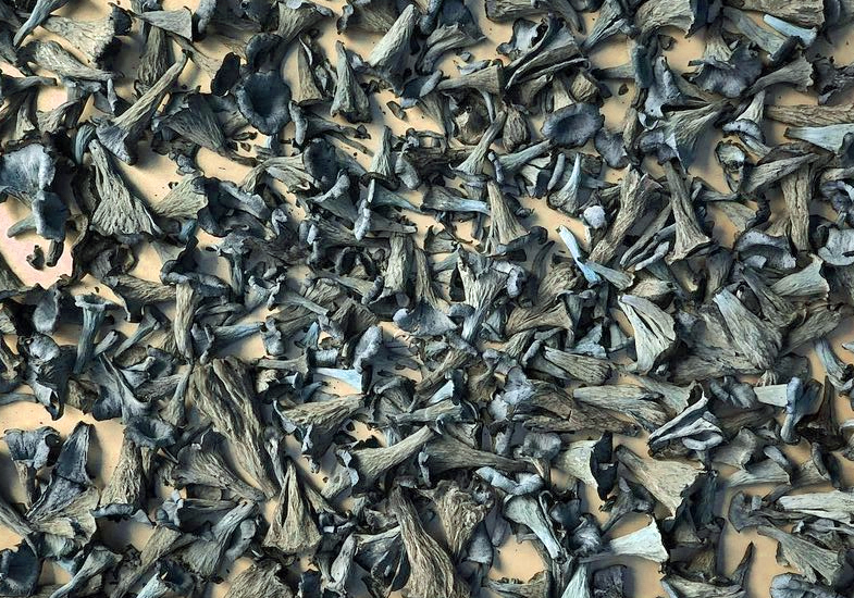 Dried Black Trumpets to rehydrate before cooking