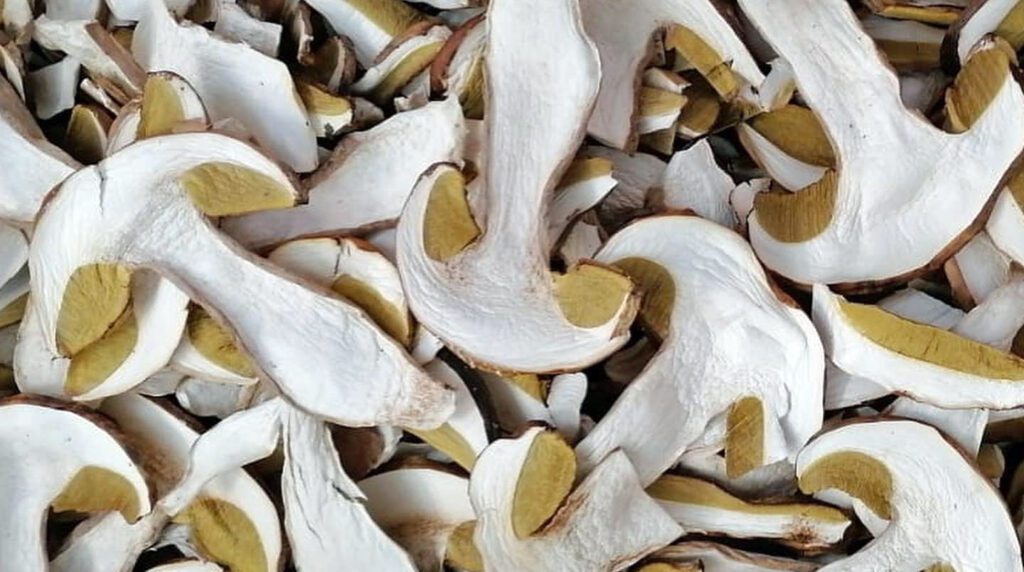 Dried porcini mushrooms