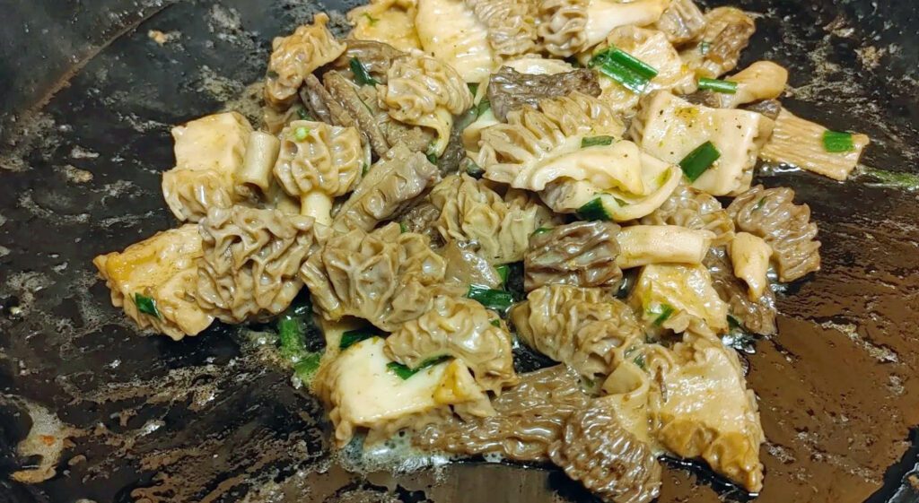 How to cook morel mushrooms