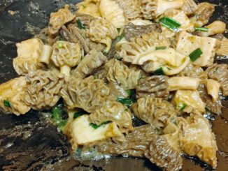 How to cook morel mushrooms