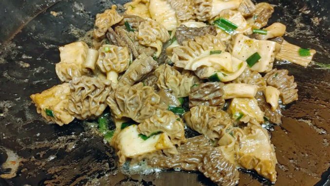 How to cook morel mushrooms