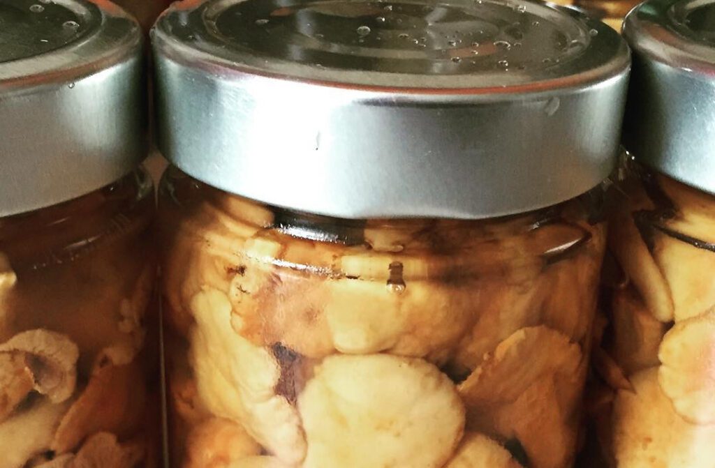 Canned mushrooms (Golden chanterelles)