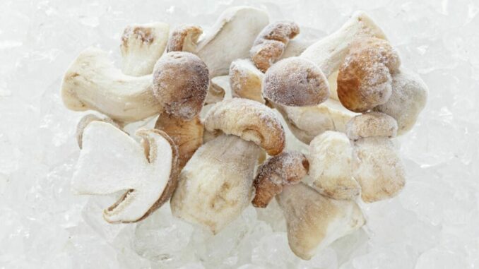 Frozen mushrooms (Porcini)