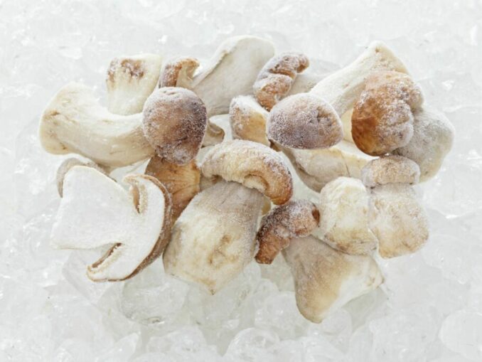The 4 best ways to preserve mushrooms MushroomStalkers