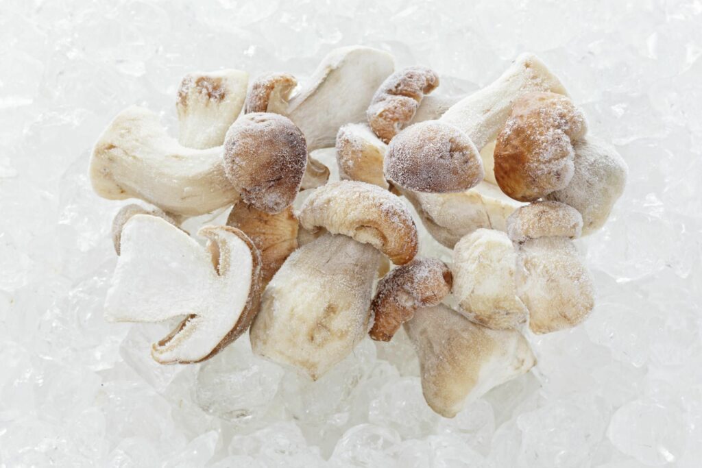 Frozen mushrooms (Porcini)