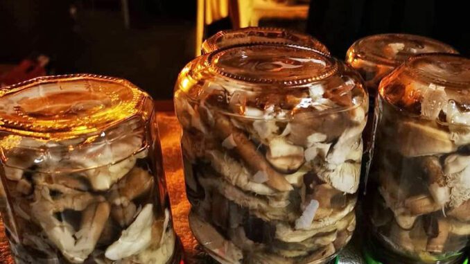 How to preserve mushrooms