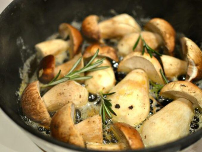 Health and mushrooms MushroomStalkers