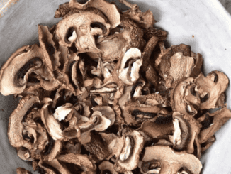 dried mushrooms