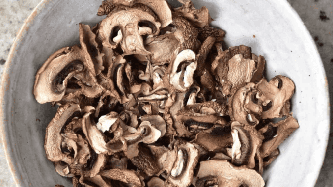 dried mushrooms