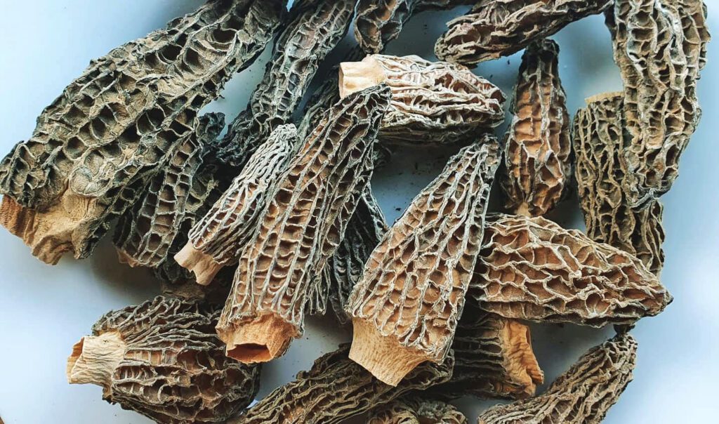 How to rehydrate dried morel mushrooms